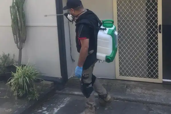 Pest Inspection