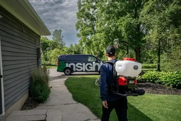 Pest Inspection