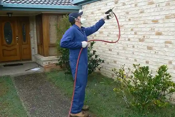 Pest Inspection